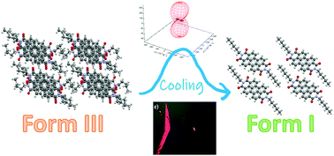 Graphical abstract: Thorough investigation on the high-temperature polymorphism of dipentyl-perylenediimide: thermal expansion vs. polymorphic transition