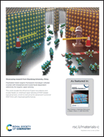 Graphical abstract: Back cover