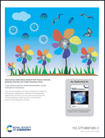 Graphical abstract: Inside back cover