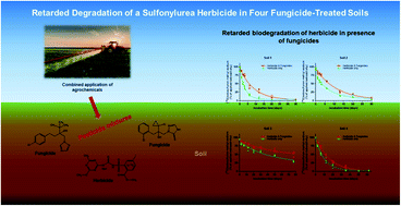 Graphical abstract: Decelerated degradation of a sulfonylurea herbicide in four fungicide-treated soils