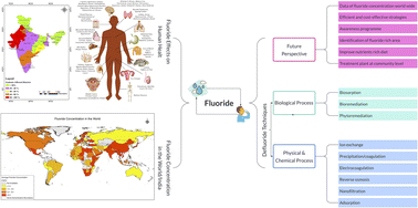 Graphical abstract: Fluoride contamination, consequences and removal techniques in water: a review