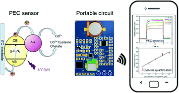 Graphical abstract: Smartphone-based label-free photoelectrochemical sensing of cysteine with cadmium ion chelation