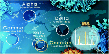 Graphical abstract: Detection of SARS CoV-2 coronavirus omicron variant with mass spectrometry