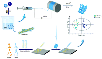 Graphical abstract: Mesoporous NiO@ZnO nanofiber membranes via single-nozzle electrospinning for urine metabolism analysis of smokers