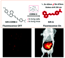 Graphical abstract: A NIR-emissive probe with a remarkable Stokes shift for CO-releasing molecule-3 detection in cells and in vivo