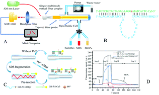 Graphical abstract: A novel sensitive DNAzyme-based optical fiber evanescent wave biosensor for rapid detection of Pb2+ in human serum