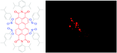 Graphical abstract: Fluorescent probes based on multifunctional encapsulated perylene diimide dyes for imaging of lipid droplets in live cells