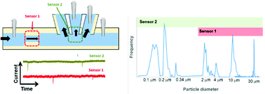 Graphical abstract: Multi-resistive pulse sensor microfluidic device