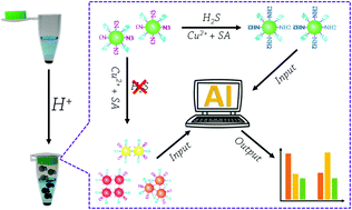 Graphical abstract: An algorithm-assisted automated identification and enumeration system for sensitive hydrogen sulfide sensing under dark field microscopy
