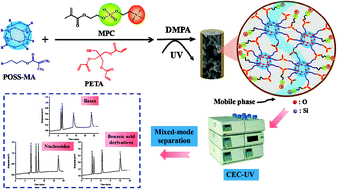 Graphical abstract: In situ photoinitiated fabrication of phosphorylcholine-functionalized polyhedral oligomeric silsesquioxane hybrid monolithic column for mixed-mode capillary electrochromatography