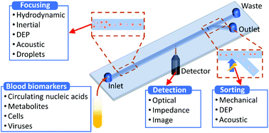 Graphical abstract: Microfluidic flow cytometry for blood-based biomarker analysis