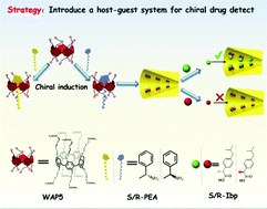 Graphical abstract: Highly enantioselective recognition of S-ibuprofen by a host–guest induced chiral nanochannel
