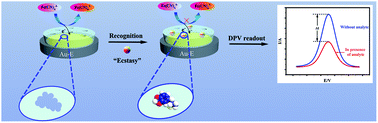 Graphical abstract: Polydopamine-based molecularly imprinted electrochemical sensor for the highly selective determination of ecstasy components