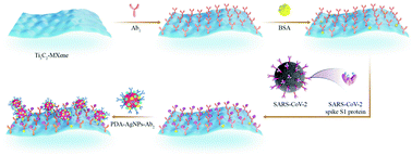 Graphical abstract: Highly sensitive and selective surface plasmon resonance biosensor for the detection of SARS-CoV-2 spike S1 protein