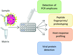 Graphical abstract: Use of MALDI-TOF mass spectrometry for virus identification: a review