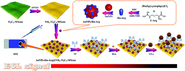 Graphical abstract: Preparation of a disposable electrochemiluminescence sensor chip based on an MXene-loaded ruthenium luminescent agent and its application in the detection of carcinoembryonic antigens