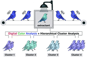 Graphical abstract: Classification of ballpoint pen inks based on selective extraction and subsequent digital color and cluster analyses