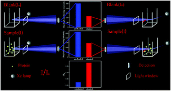 Graphical abstract: The unique physical shading pattern of Rayleigh scattering for the generally improved detection of scattering particles