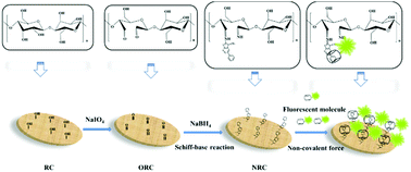 Graphical abstract: Detection of heterocyclic amine (PhIP) by fluorescently labelled cucurbit[7]uril