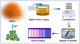 Graphical abstract: A fluorimetric test strip with suppressed “Coffee Ring Effect” for selective mercury ion analysis