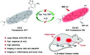 Graphical abstract: A nitrobenzoxadiazole-based near-infrared fluorescent probe for the specific imaging of H2S in inflammatory and tumor mice