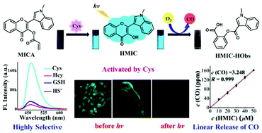 Graphical abstract: Indole-substituted flavonol-based cysteine fluorescence sensing and subsequent precisely controlled linear CO liberation