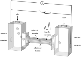 Graphical abstract: 3D printed microfluidic Coulter counter for blood cell analysis