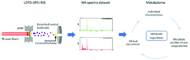 Graphical abstract: Untargeted urine metabolite profiling by mass spectrometry aided by multivariate statistical analysis to predict prostate cancer treatment outcome