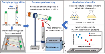 Graphical abstract: Detection of low numbers of bacterial cells in a pharmaceutical drug product using Raman spectroscopy and PLS-DA multivariate analysis