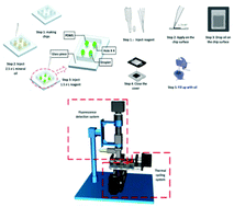 Graphical abstract: Construction of dPCR and qPCR integrated system based on commercially available low-cost hardware