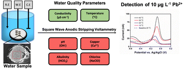 Graphical abstract: Impact of physical and chemical parameters on square wave anodic stripping voltammetry for trace Pb2+ detection in water