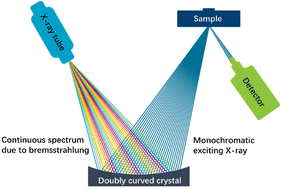 Graphical abstract: Rapid screening and quantification of heavy metals in traditional Chinese herbal medicines using monochromatic excitation energy dispersive X-ray fluorescence spectrometry