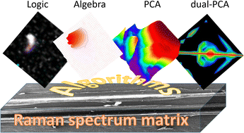Graphical abstract: Raman imaging combined with an improved PCA/algebra-based algorithm to capture microplastics and nanoplastics