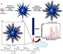 Graphical abstract: Ultra-high SERS detection of consumable coloring agents using plasmonic gold nanostars with high aspect-ratio spikes