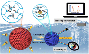 Graphical abstract: Interpenetrating porous photonic crystal balls for rapid naked eye detection of uranyl ions