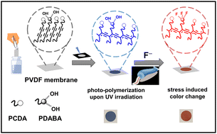 Graphical abstract: A polydiacetylene (PDA) impregnated poly(vinylidene fluoride) (PVDF) membrane for sensitive detection of fluoride ions