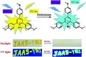 Graphical abstract: A pyrylium salt-based fluorescent probe for the highly sensitive detection of methylamine vapour