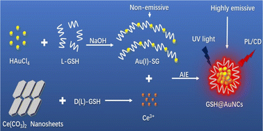Graphical abstract: In situ synthesis of chiral AuNCs with aggregation-induced emission using glutathione and ceria precursor nanosheets for glutathione biosensing