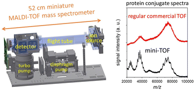 Graphical abstract: High-performance miniature linear time-of-flight mass spectrometry as an advantageous tool in a high mass-to-charge range