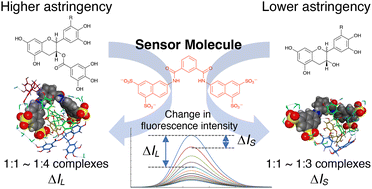 Graphical abstract: Detection of catechins using a fluorescent molecule and its application toward the evaluation of astringent intensity