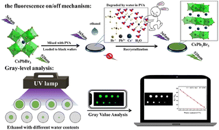 Graphical abstract: A handy imaging sensor array based on the phase transformation from CsPbBr3 to CsPb2Br5: highly sensitive and rapid detection of water content in ethanol