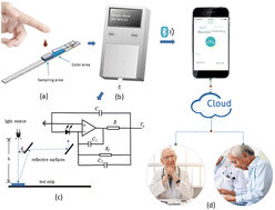 Graphical abstract: A low-cost compact blood enzyme analyzer based on optical sensing for point-of-care liver function testing