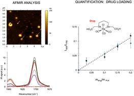 Graphical abstract: Quantification of drug loading in polymeric nanoparticles using AFM-IR technique: a novel method to map and evaluate drug distribution in drug nanocarriers