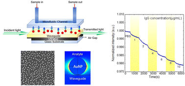 Graphical abstract: Slab waveguide-based particle plasmon resonance optofluidic biosensor for rapid and label-free detection