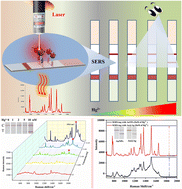 Graphical abstract: Rapid and sensitive detection of Hg2+ with a SERS-enhanced lateral flow strip