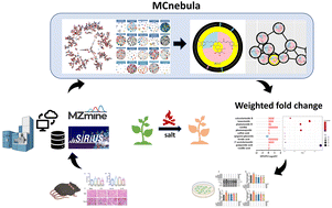 Graphical abstract: A deep clustering-based mass spectral data visualization strategy for anti-renal fibrotic lead compound identification from natural products