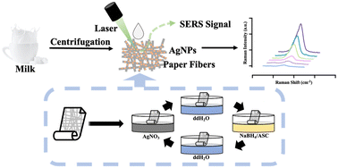 Graphical abstract: Rapid quantification of thiocyanate in milk samples using a universal paper-based SERS sensor