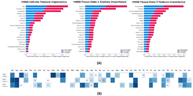 Graphical abstract: Radiation treatment response and hypoxia biomarkers revealed by machine learning assisted Raman spectroscopy in tumour cells and xenograft tissues