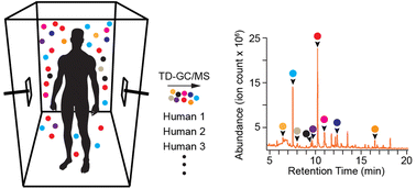 Graphical abstract: A headspace collection chamber for whole body volatilomics