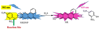 Graphical abstract: A benzophenoxazine-based NIR fluorescent probe for the detection of hydrogen sulfide and imaging in living cells